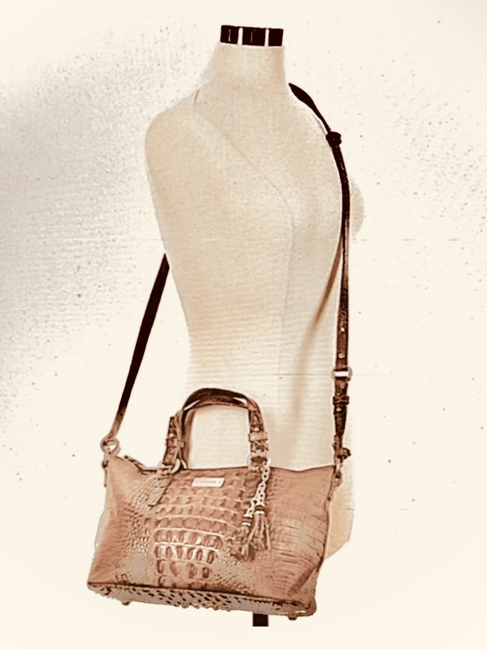 Brahmin Mini Asher Melbourne Tassel Leather